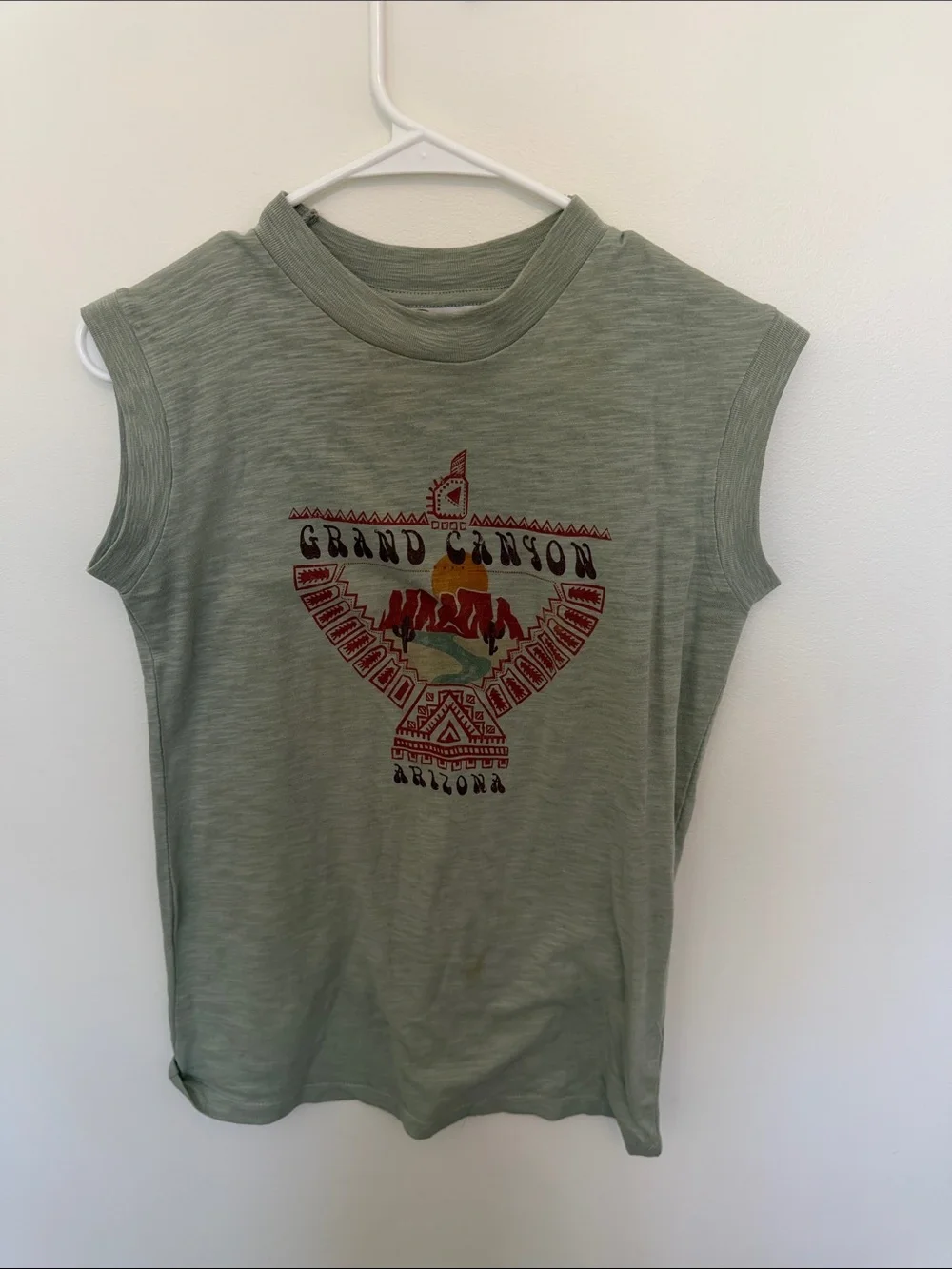 Free People Sage Green Grand Canyon Graphic Tank